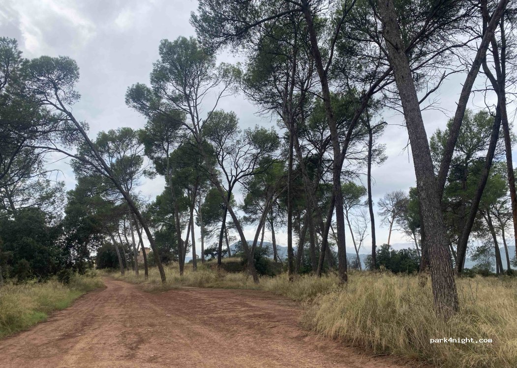 (08250) Sant Joan de Vilatorrada - Unnamed Road — foto 5