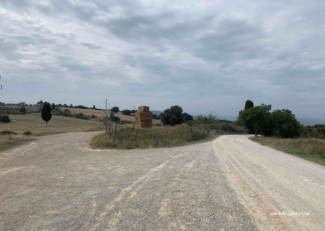 (53027) San Quirico d'Orcia - Strada di Bagno Vignoni — foto