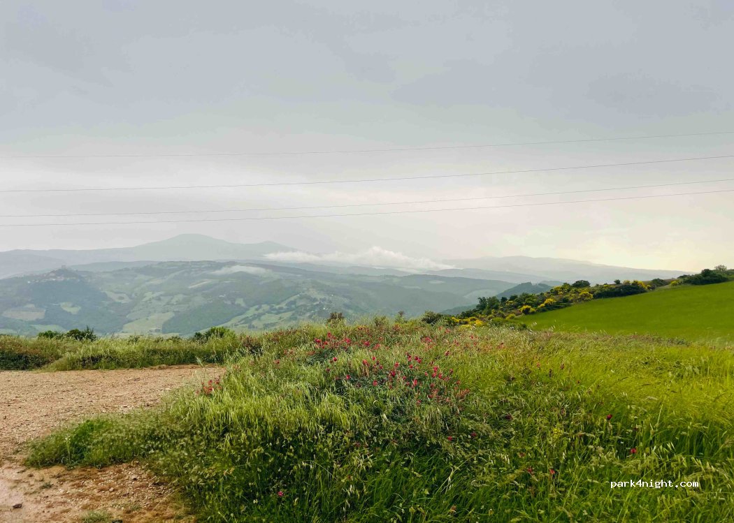(53027) San Quirico d'Orcia - Strada di Bagno Vignoni — foto 3