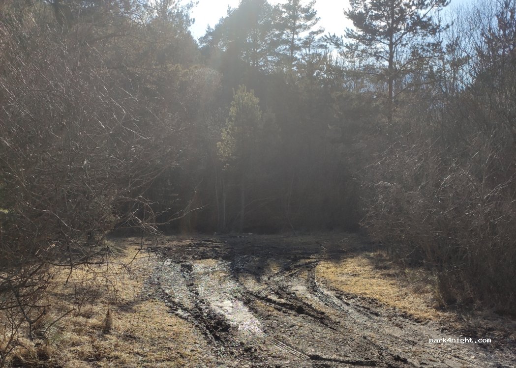 (04170) Angles - D33 — foto 3