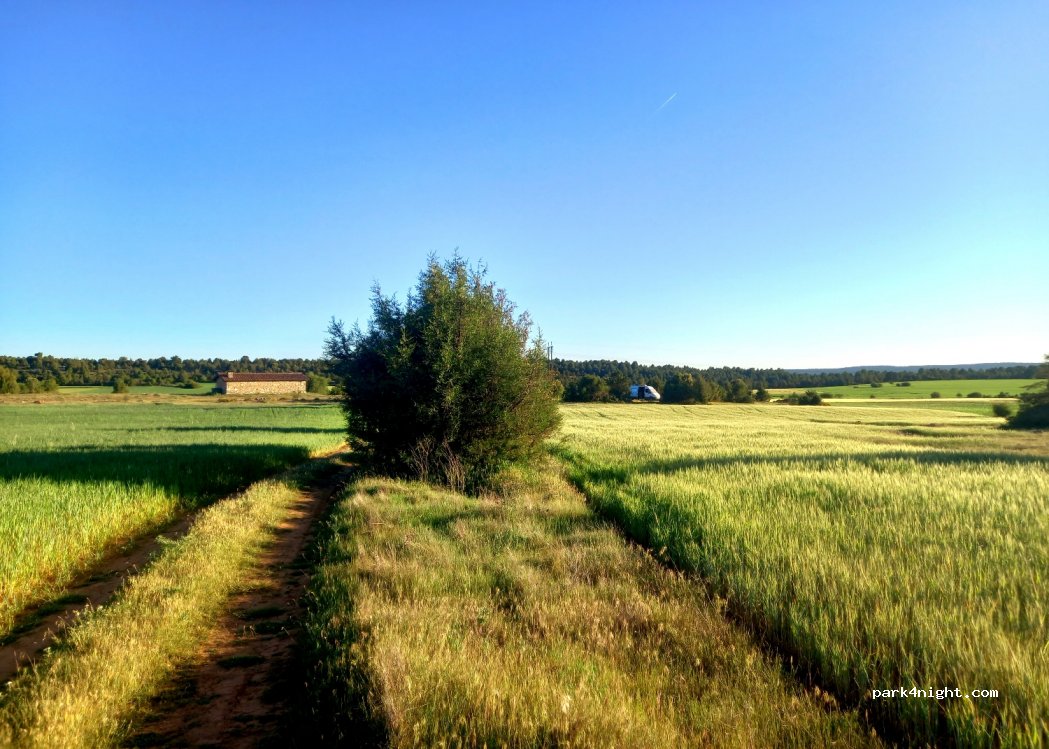 (42148) Casarejos - Camino de Zabalarrascal — foto 2