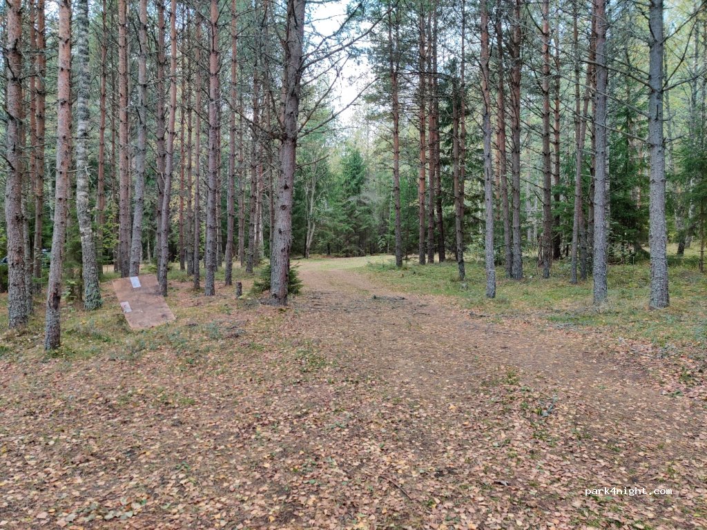 () Pillapalu - Unnamed Road — foto