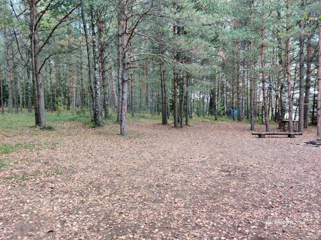 () Pillapalu - Unnamed Road — foto 2