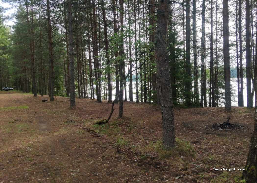 () Pillapalu - Unnamed Road — foto 4