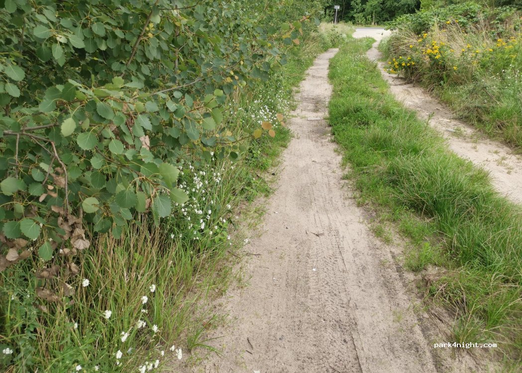 (15831) Blankenfelde-Mahlow - 1 Tarjei-Vesaas-Weg — foto 4