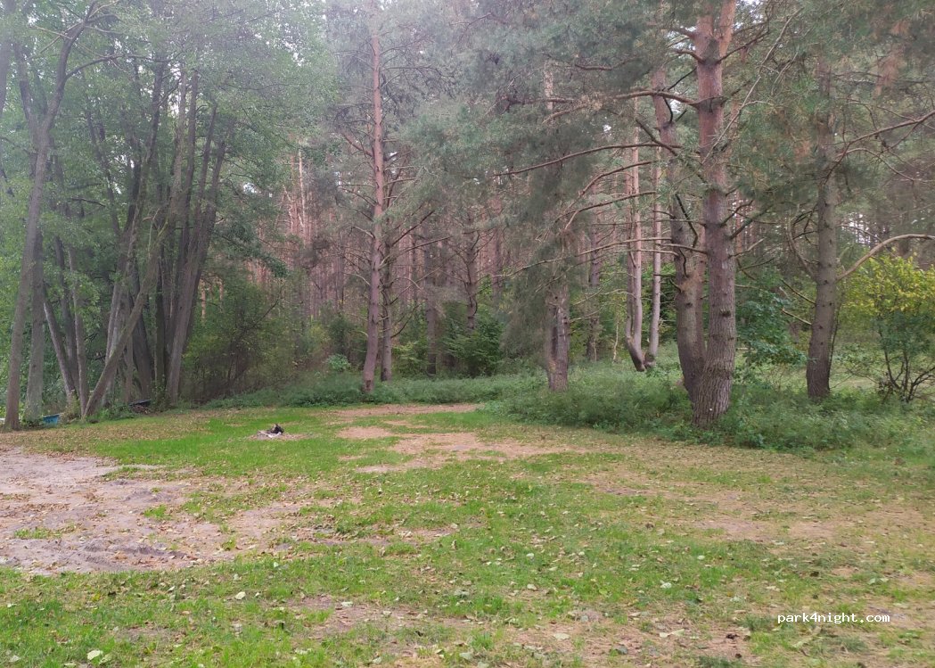(11-015) Ząbie - Unnamed Road — foto 2