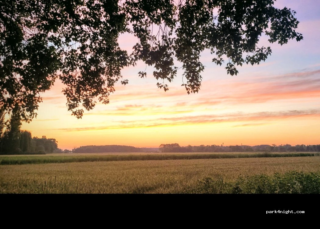 (37270) Saint-Martin-le-Beau - Chandon — foto 4