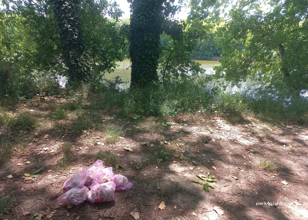 (37270) Saint-Martin-le-Beau - Chandon — foto 5