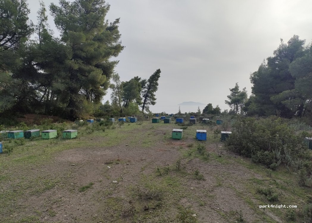(630 88) Νikiti to Marmara - Unnamed Road — foto 4