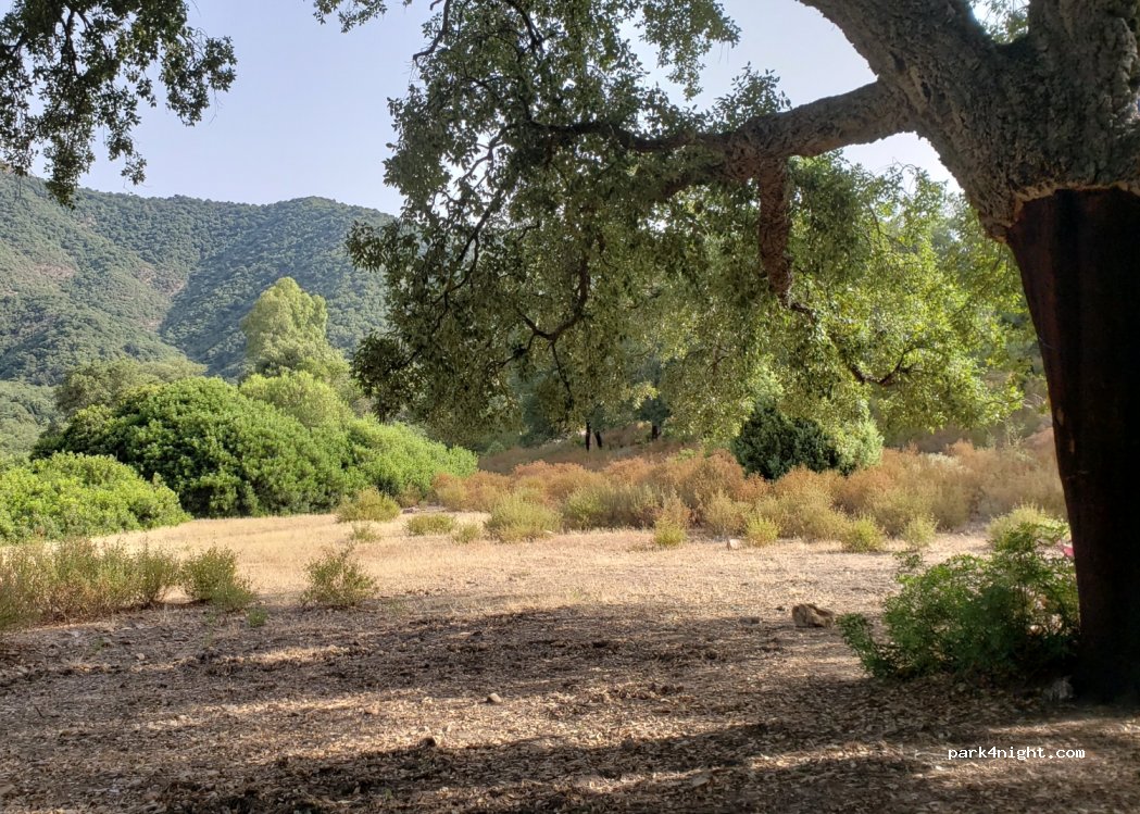 (09032) Pauceris - Strada Provinciale 1 — foto 2