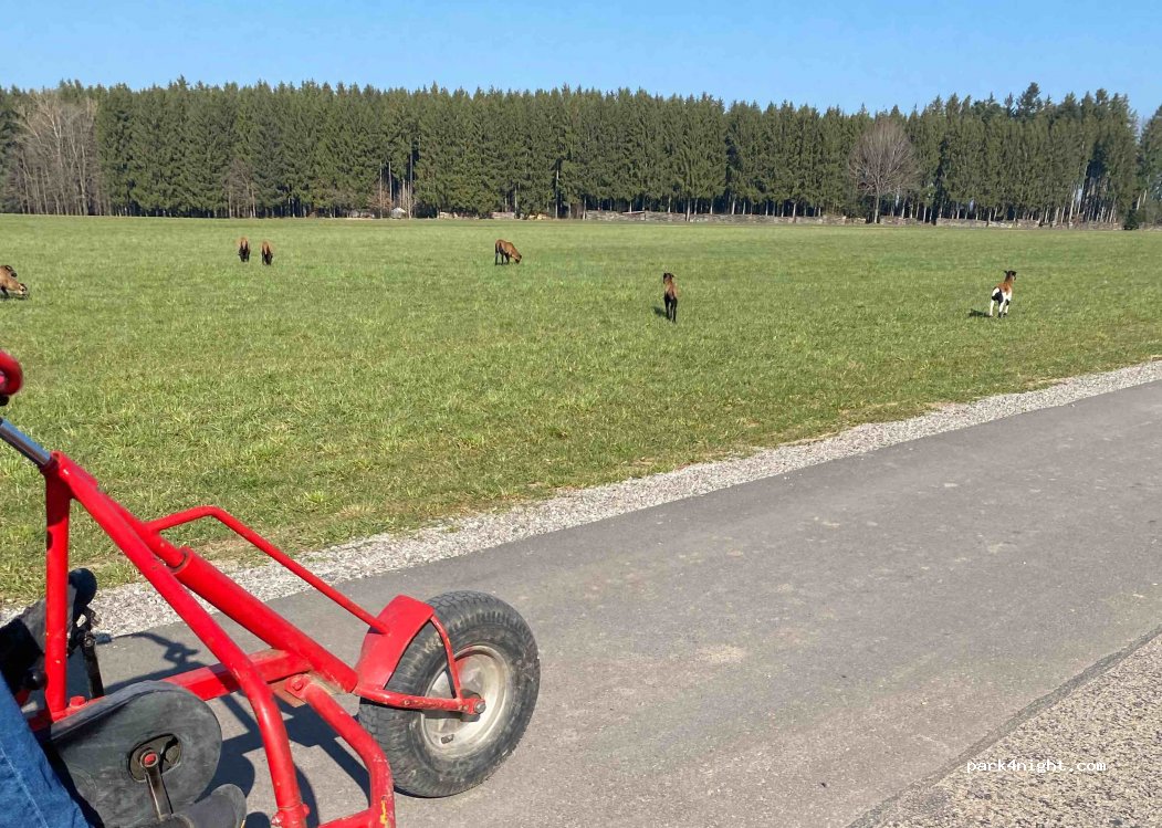 Ferienhof Musch — foto 3