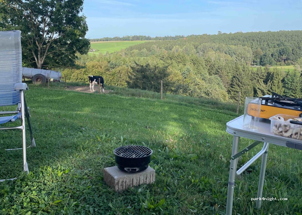 Ferienhof Musch — foto 4