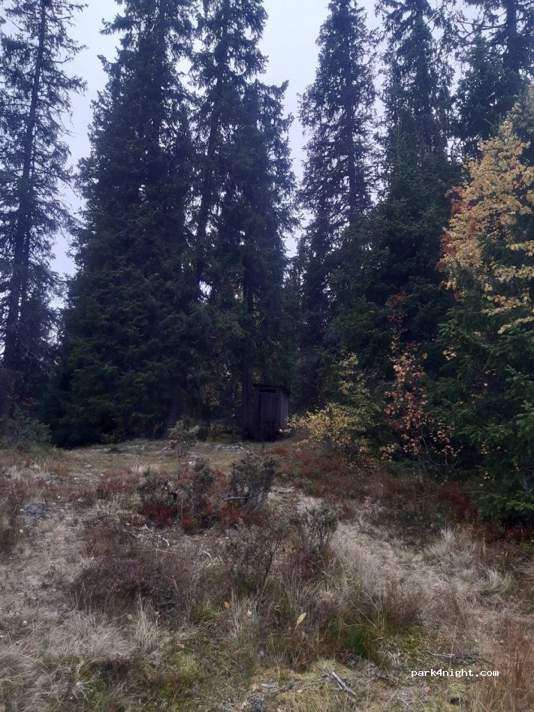 (790 90) Särna - Unnamed Road — foto