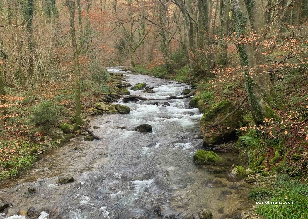 (81240) Sauveterre - Le Merle — foto 2