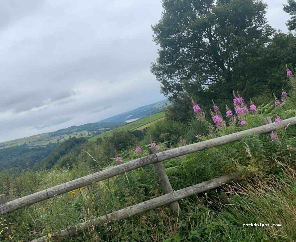 (S6 6JN)  - Mortimer Road — foto 4