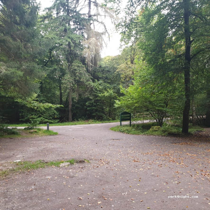 (IV5 7PR) Inverness - Reelig Glen Tall Trees Trail — foto