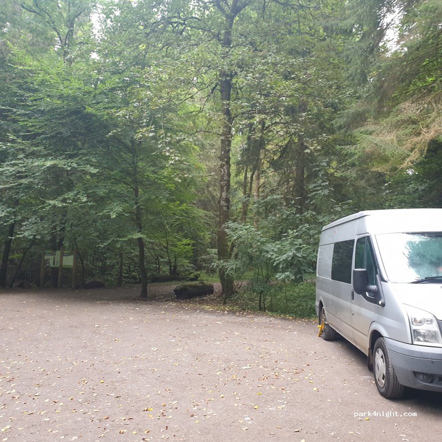 (IV5 7PR) Inverness - Reelig Glen Tall Trees Trail — foto 2