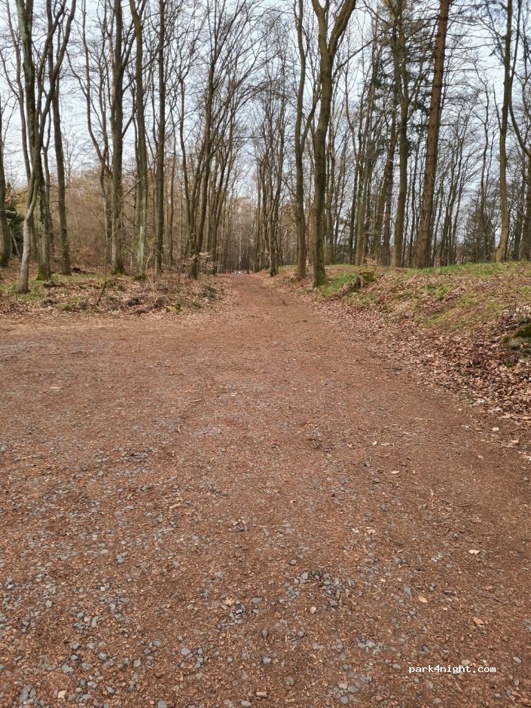 (67814) Dannenfels - K82 — foto