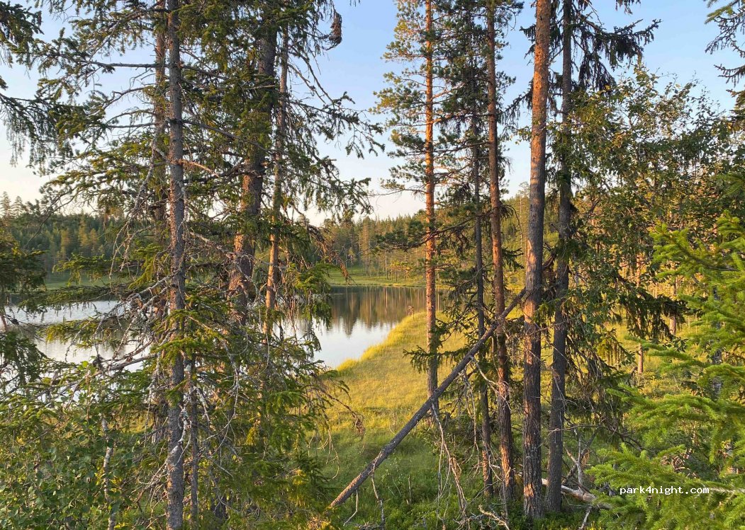 (790 90) Särna - Unnamed Road — foto 2