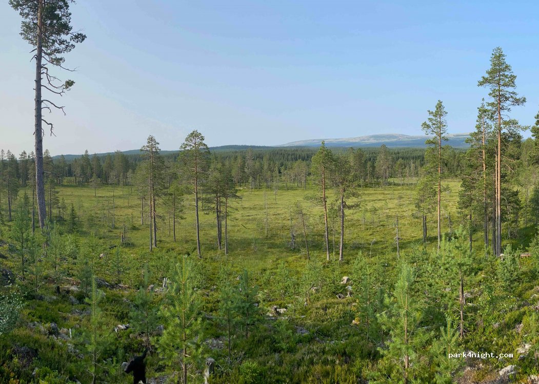 (790 90) Särna - Unnamed Road — foto 3
