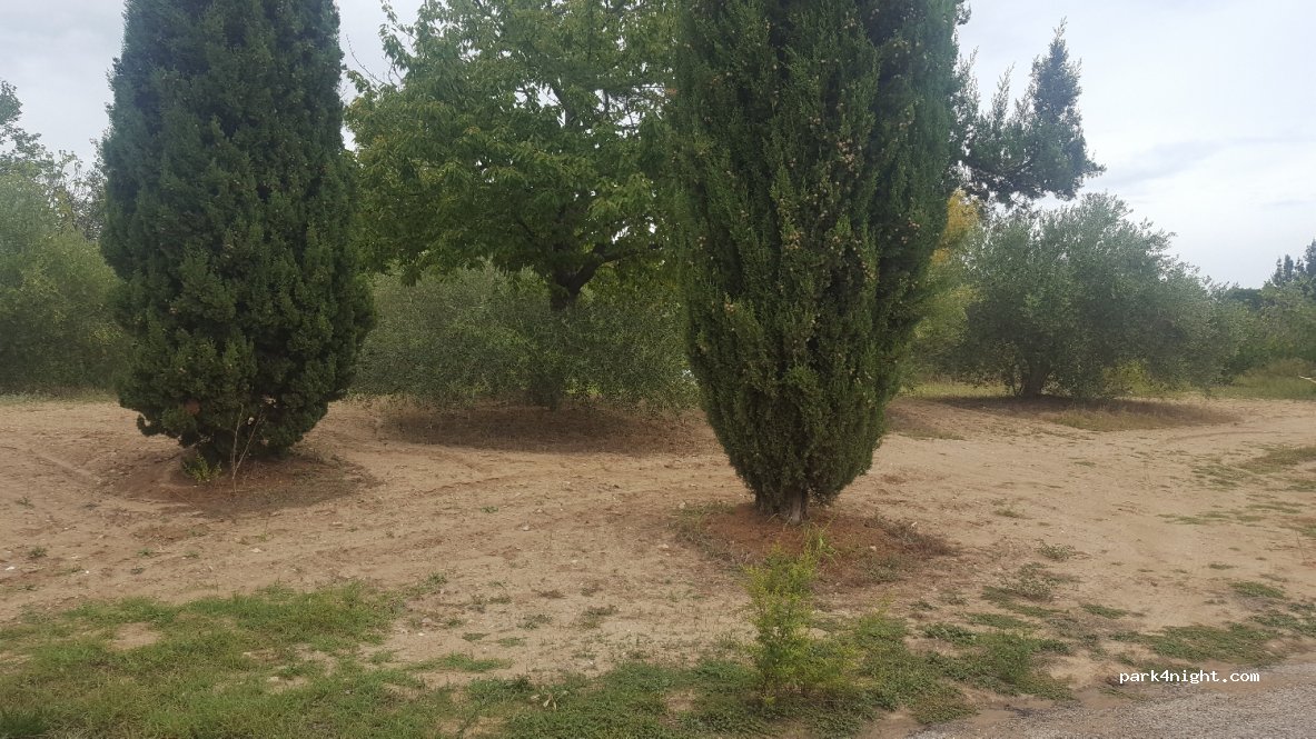 (34230) Le Pouget - D139 — foto