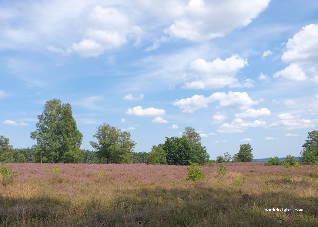 (29328) Faßberg - 20 Hermannsburger Straße — foto 3
