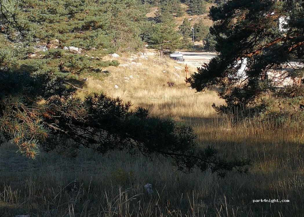(06620) Gréolières - Route de Gréolières les Neiges — foto 3