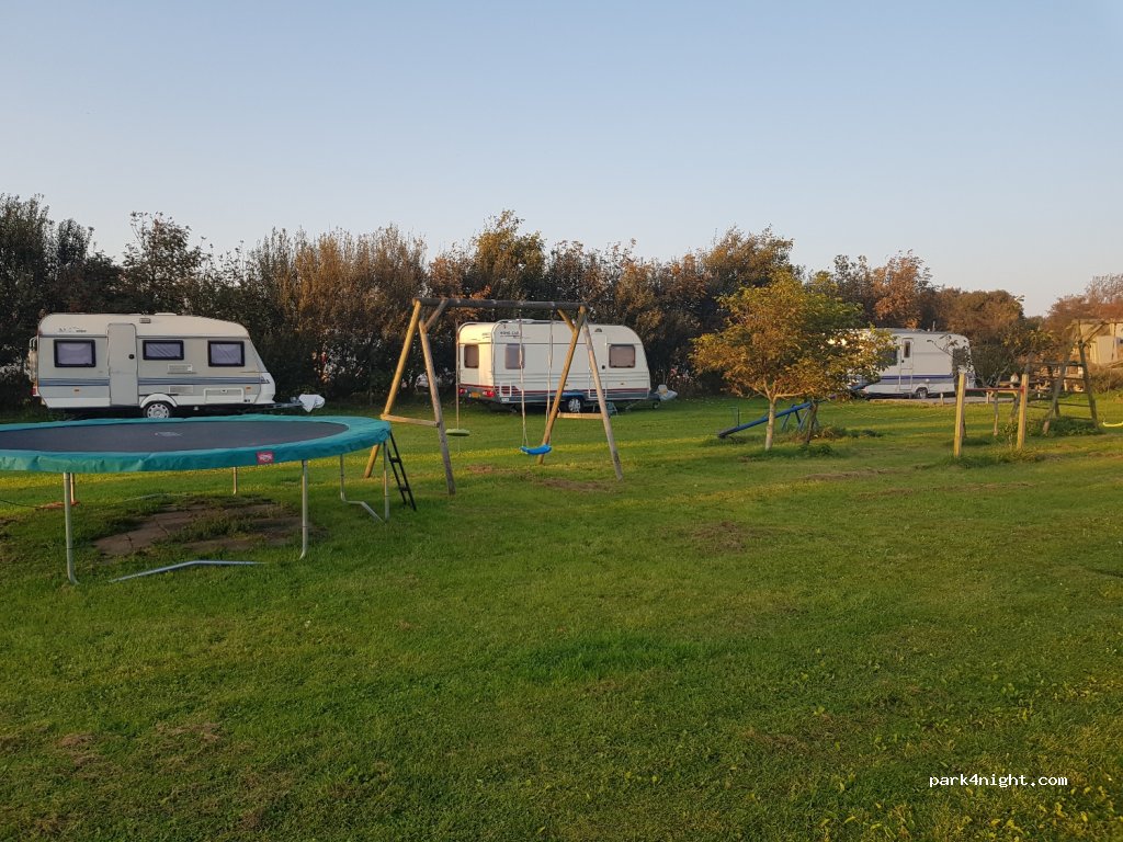 kaas boerderij — foto