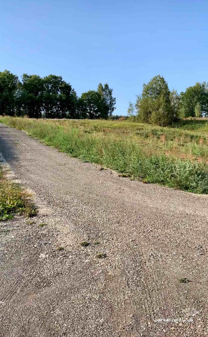 (301333) Makhrinka - Unnamed Road — foto 2