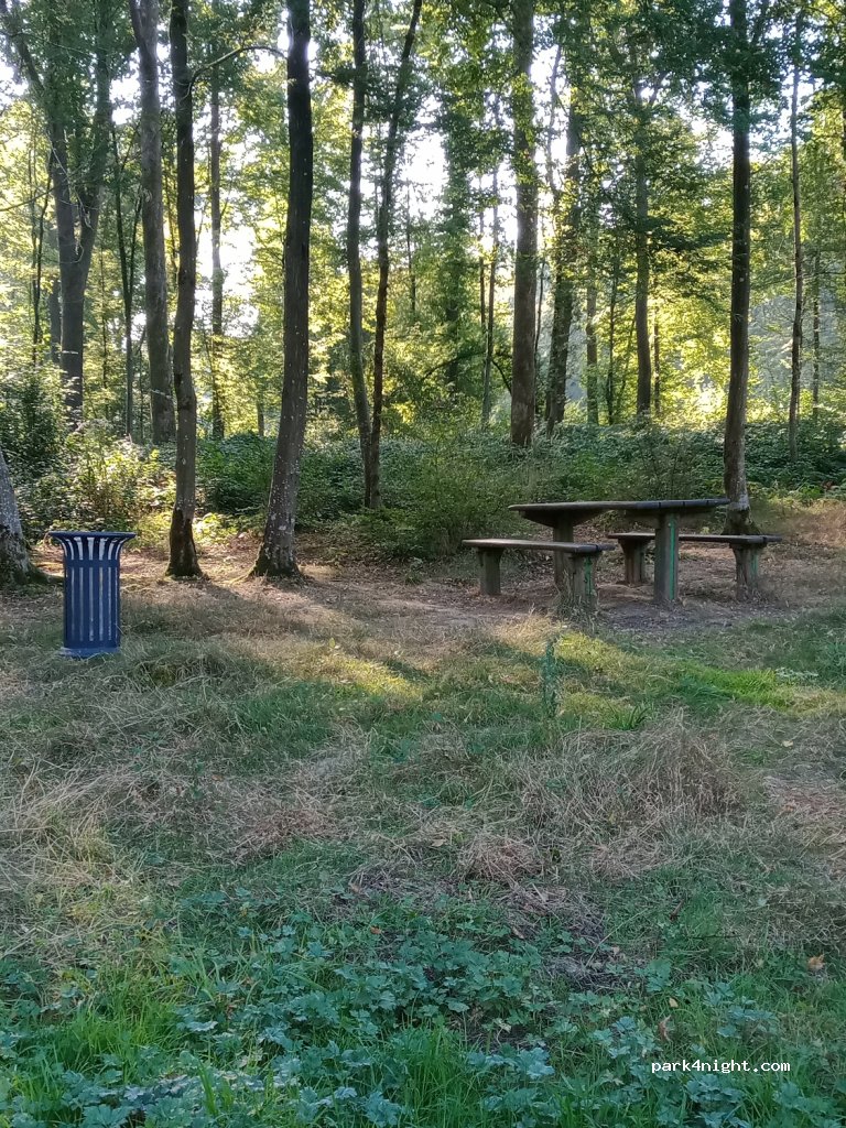 (59610) Fourmies - Route Forestière du Trou Colette — foto