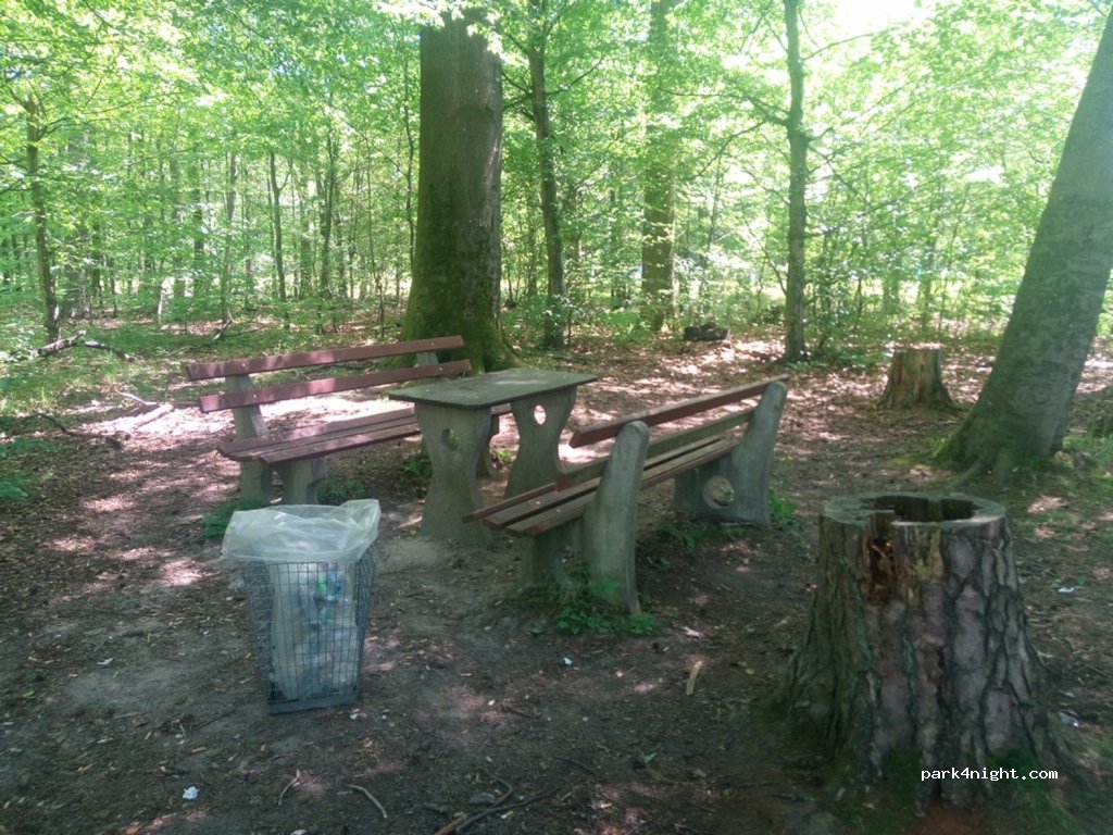 Spielberg Waldkulturpfad Parkplatz, Karlsbad — foto 3