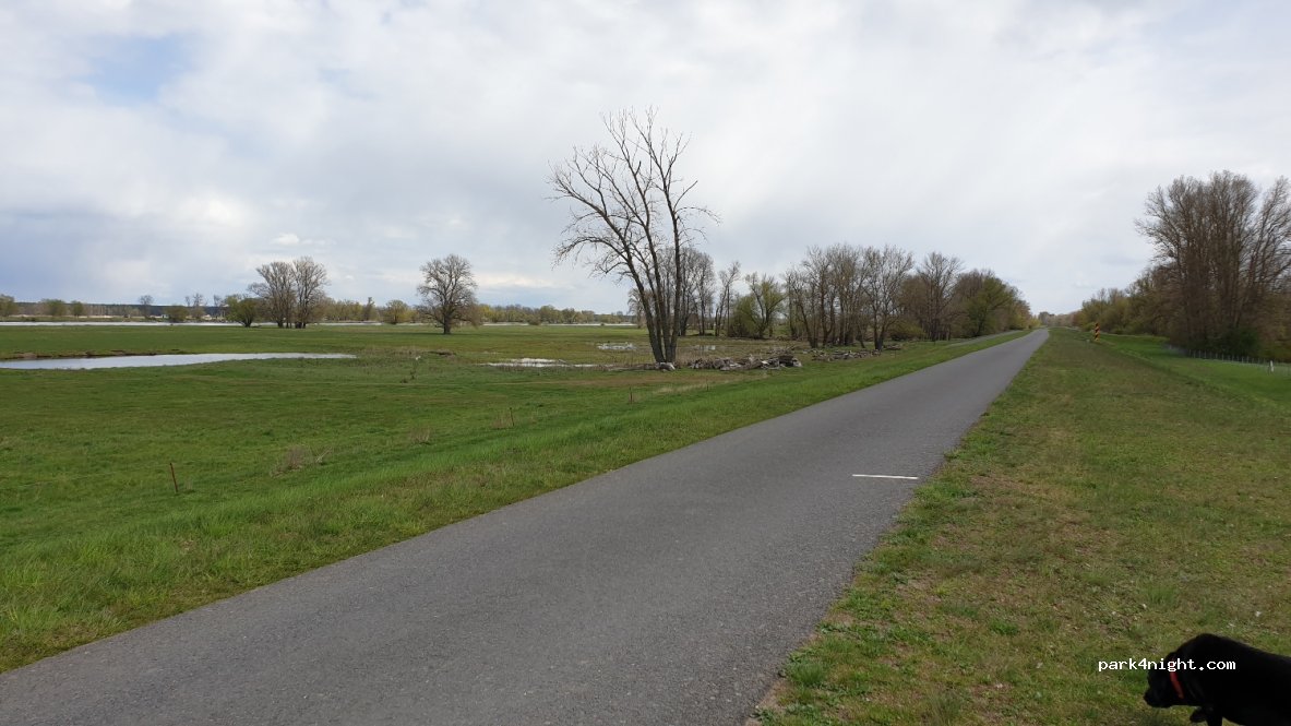 Badeplatz Sophientaler Polder — foto