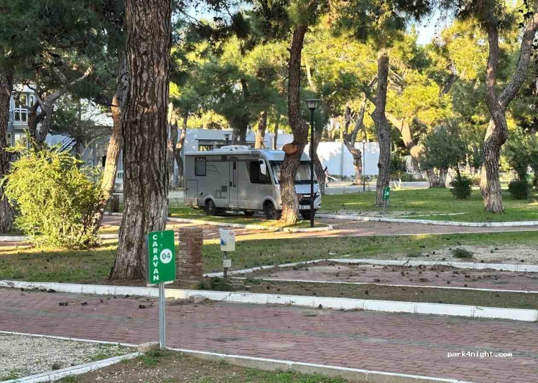 Manavgat Belediyesi Kamp Alanı — foto 3