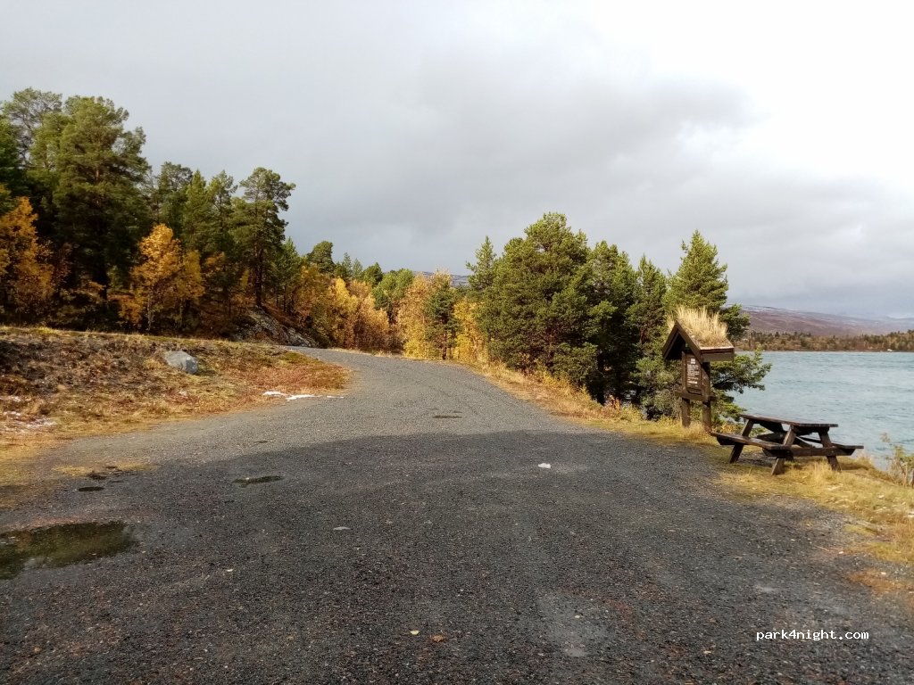(2683)  - Primær Fylkesveg 51 — foto 3