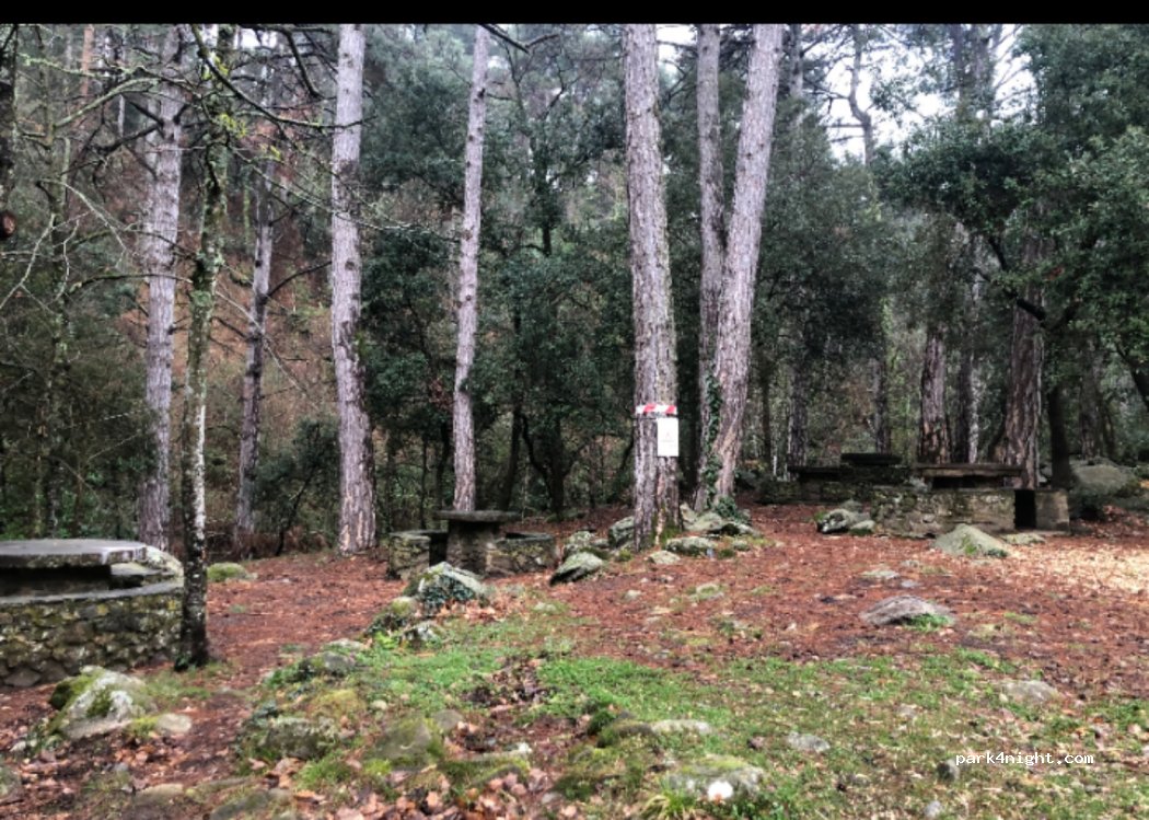 (43430) Vimbodí i Poblet - Bosc pintat de Poblet — foto 3
