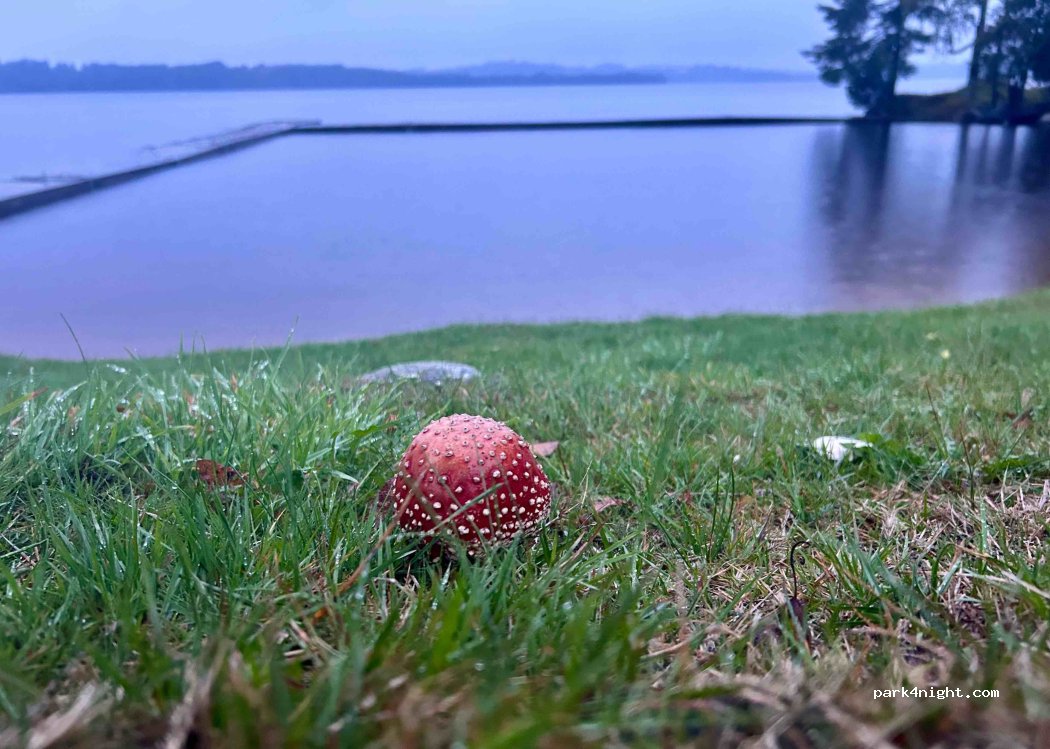 Frykenbadens Camping — foto 4