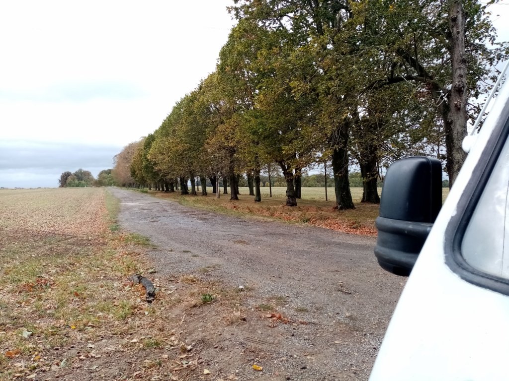(77230) Montgé-en-Goële - D9 — foto