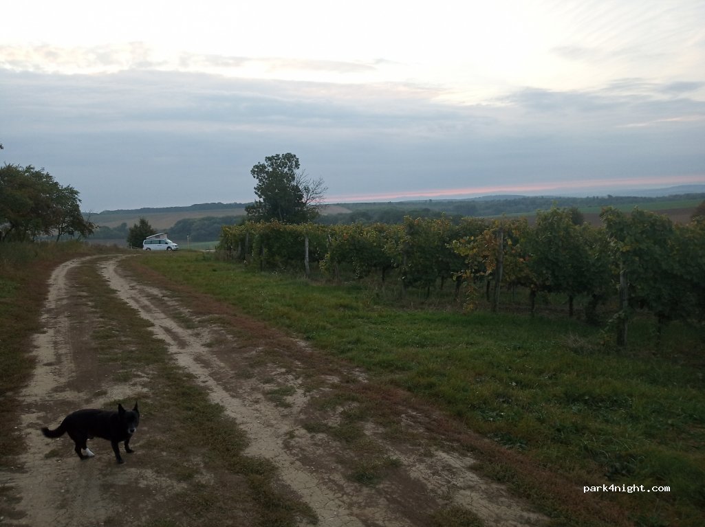 (692 01) Klentnice - 42120 — foto