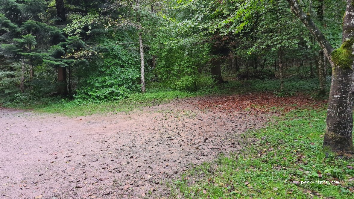 (3633) Amsoldingen - 9-1 Hirseren — foto