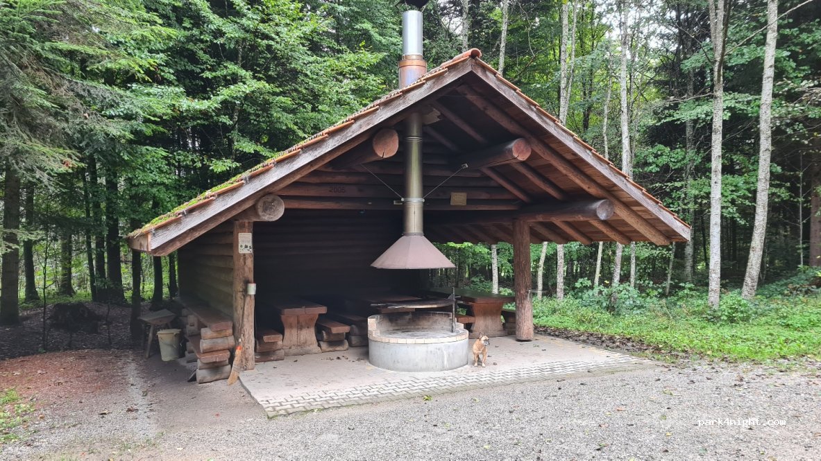 (3633) Amsoldingen - 9-1 Hirseren — foto 2