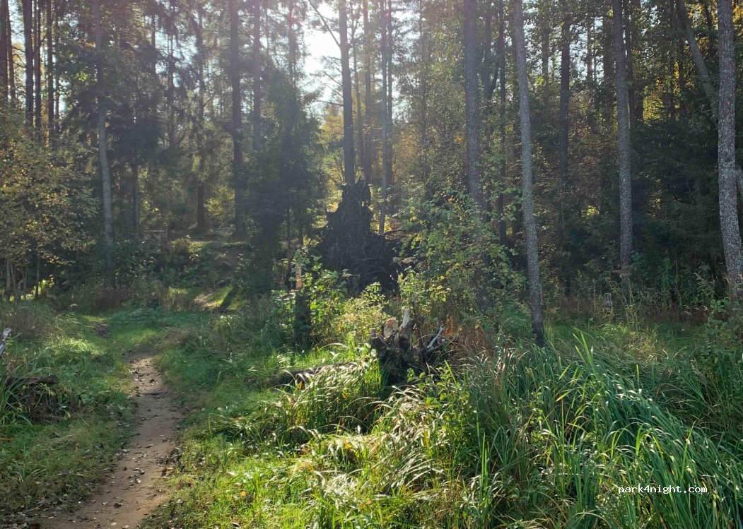 (188754) Ozero - Unnamed Road — foto 2