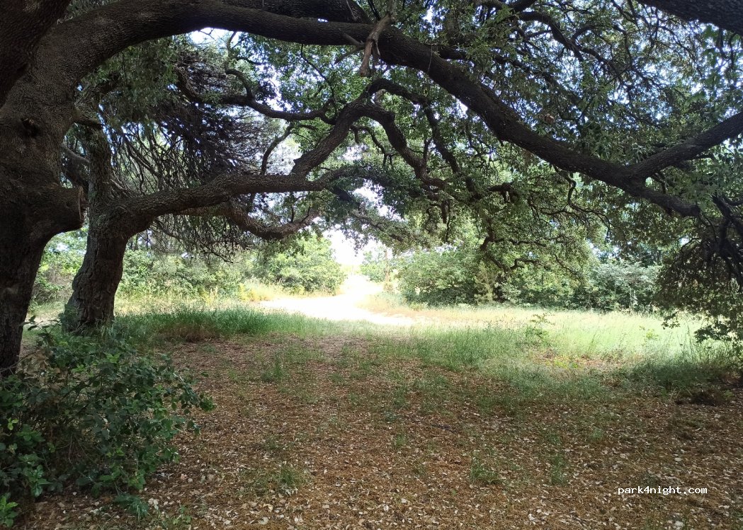 (66330) Cabestany - Chemin du Bois — foto 3