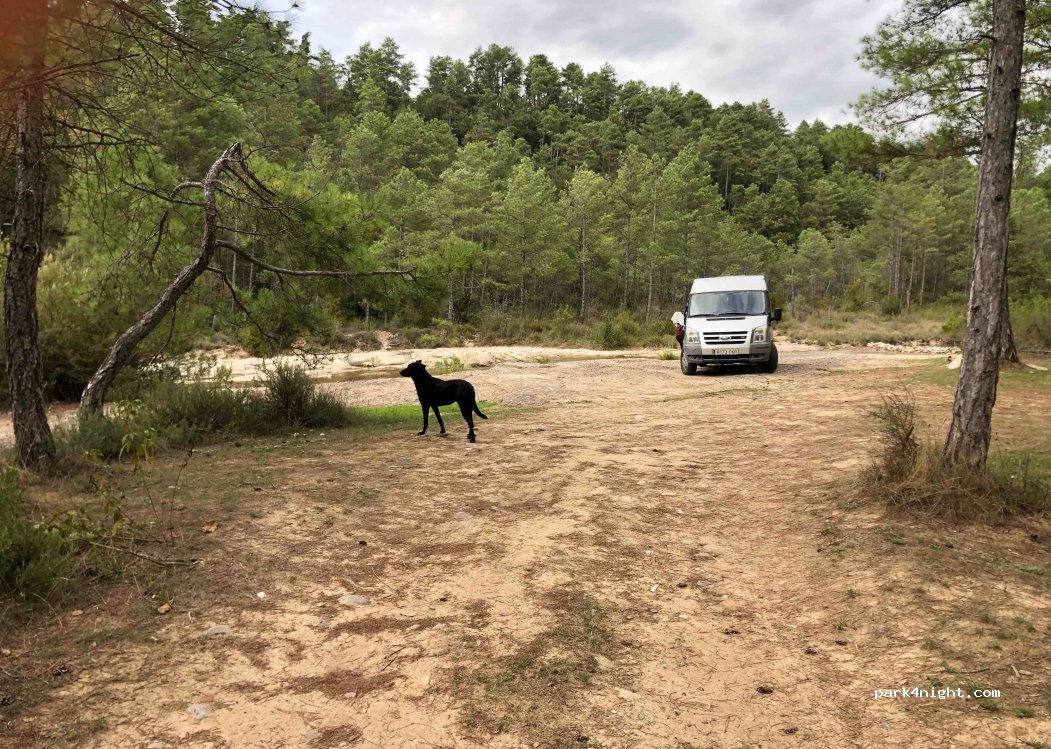 (25289) Castellar de la Ribera - Camí Pont del Llop — foto 3