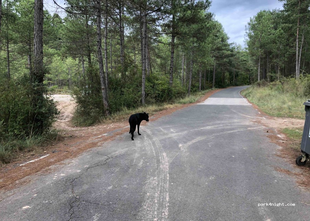 (25289) Castellar de la Ribera - Camí Pont del Llop — foto 4