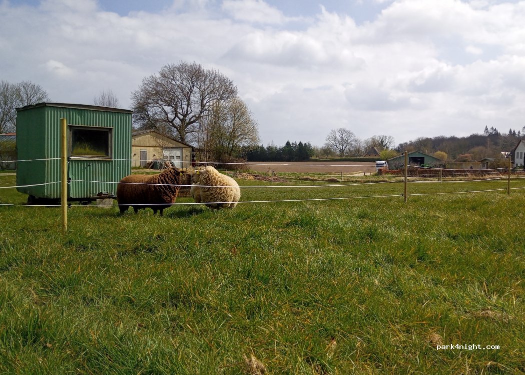 Græsgård Farmcamping — foto 2