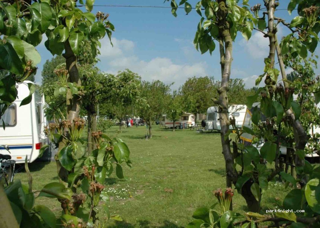 De Karekiet — foto 2