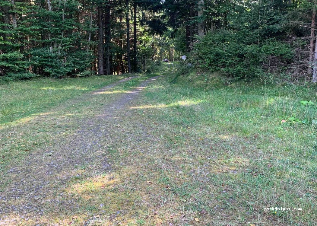 (242 96)  - Forsakarsvägen — foto 3