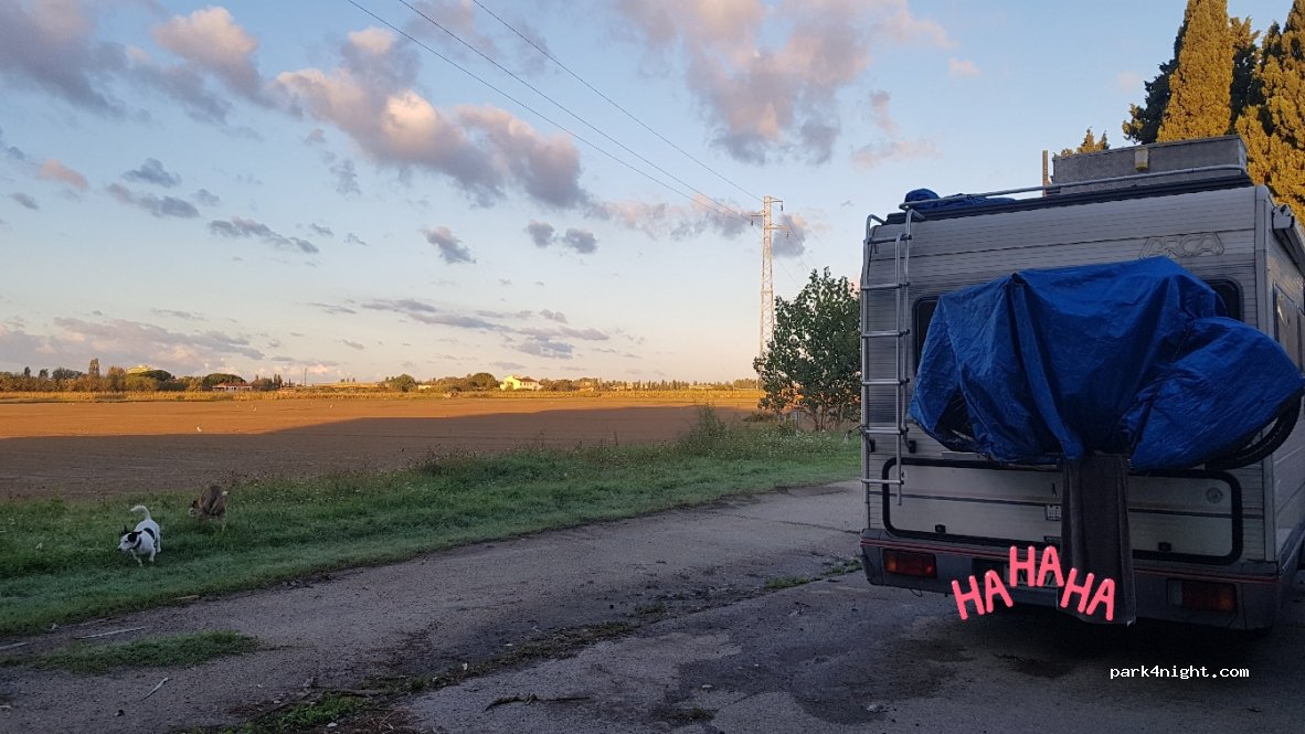 (56121) Pisa - 7 Via delle Consegne — foto
