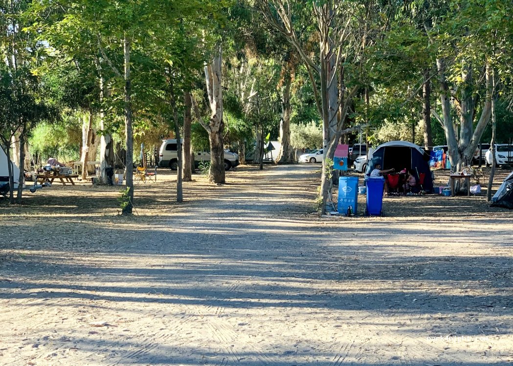Dragon Motel and Camping — foto 4