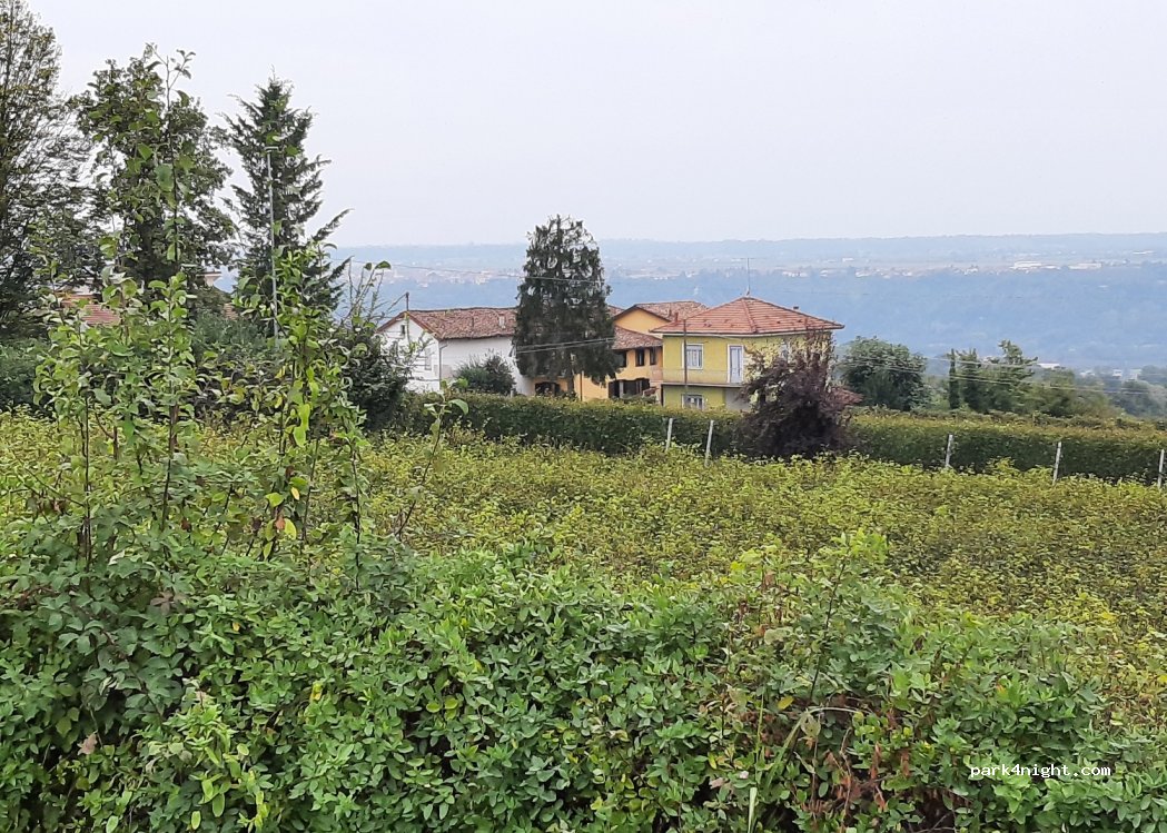 Sole Langhe — foto 4